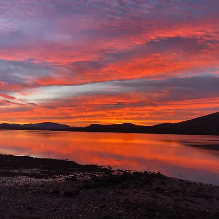 Honeybee Valentia By Trident Homes بيت للعطل