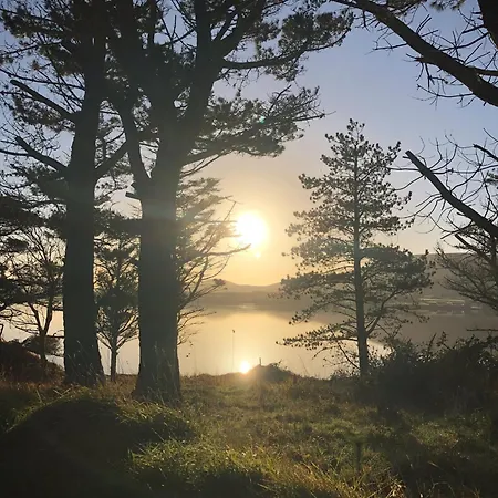 Honeybee Valentia By Trident Homes * Chapeltown